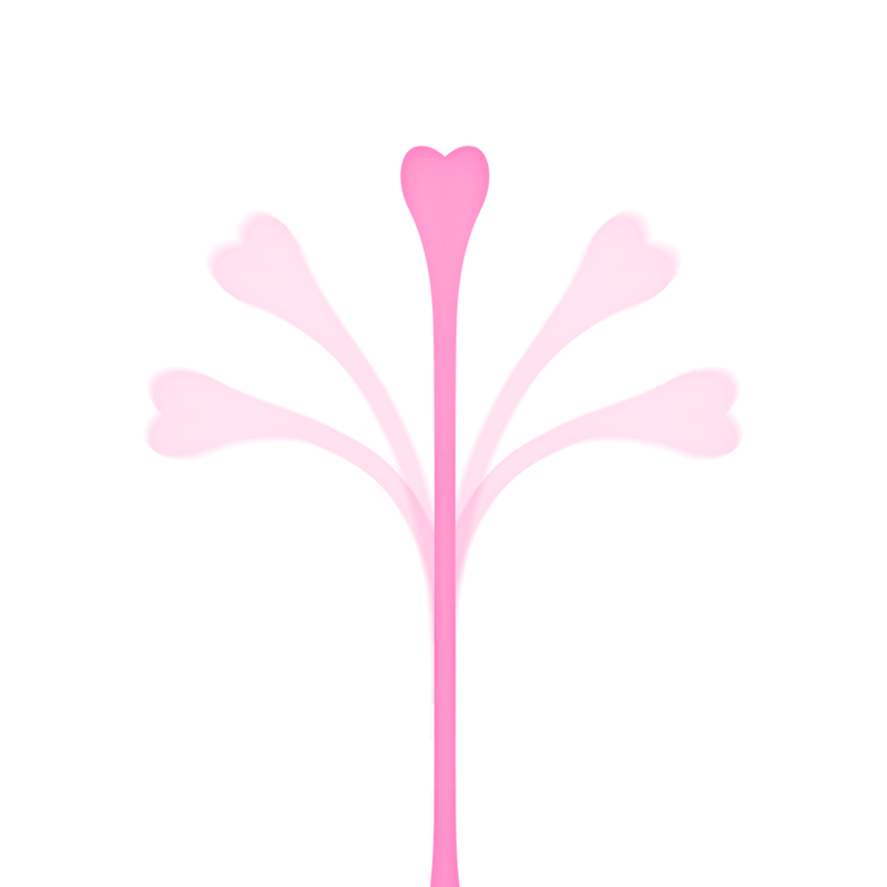 OHMAMA - ENSEMBLE DE 5 BALLES DEXERCICE KEGEL – Image 2
