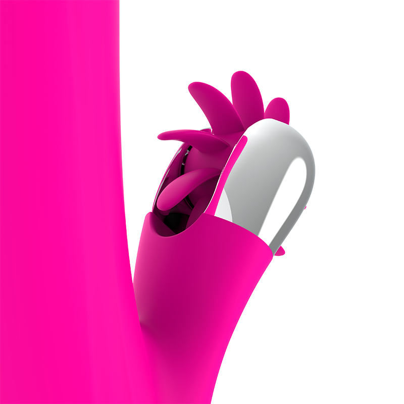 DIVERSIA - ROTATION LAPIN 24 CM – Image 3