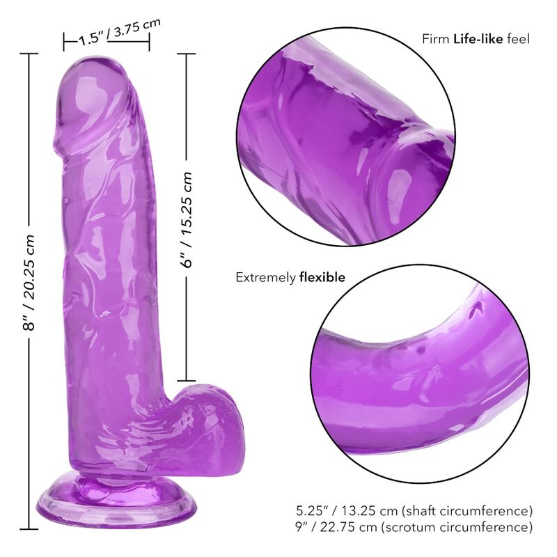 CALEXOTICS - GODE REINE TAILLE VIOLET 15.3 CM – Image 6