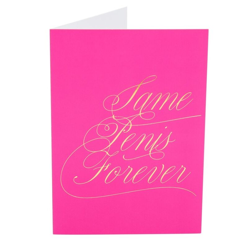 KAMASUTRA - NOTES NAUGHTY : MÊME PÉNIS POUR TOUJOURS – Image 2