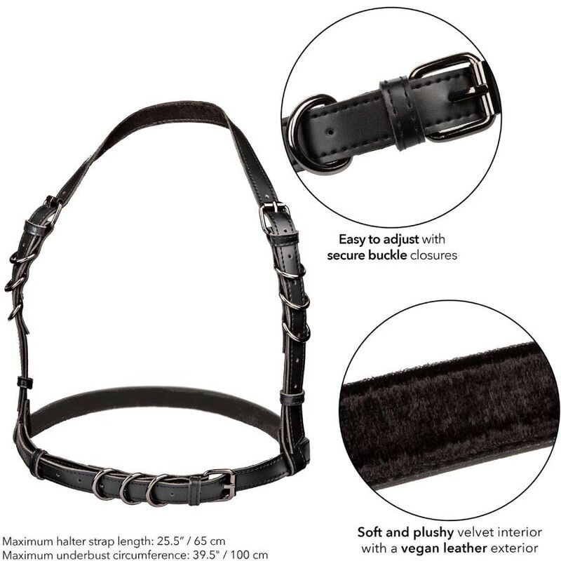CALEXOTICS - EUPHORIA HARNAIS BOUCLE LICOL NOIR – Image 5