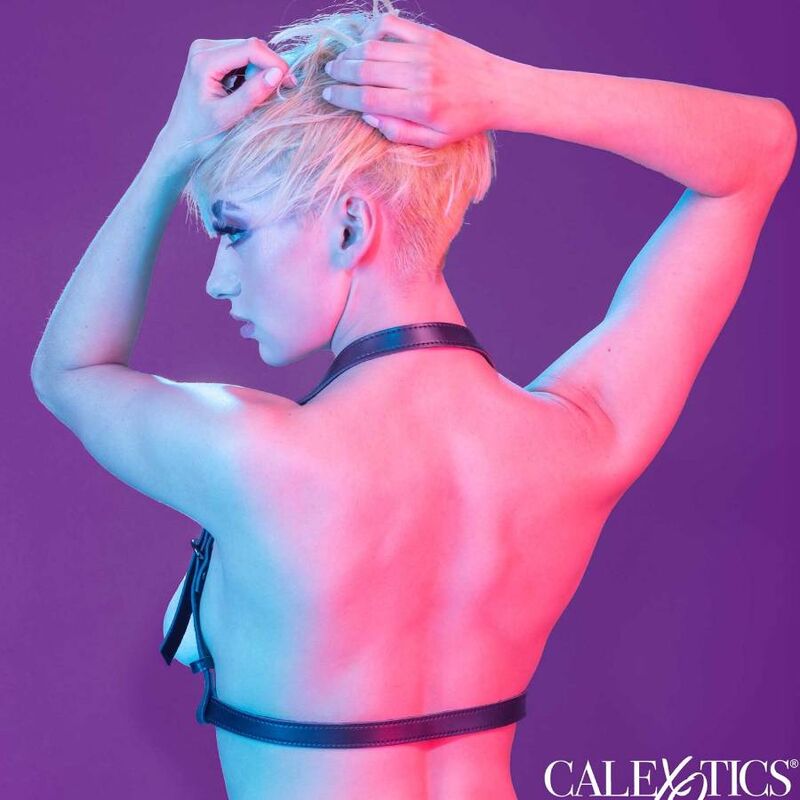 CALEXOTICS - EUPHORIA HARNAIS BOUCLE LICOL NOIR – Image 6