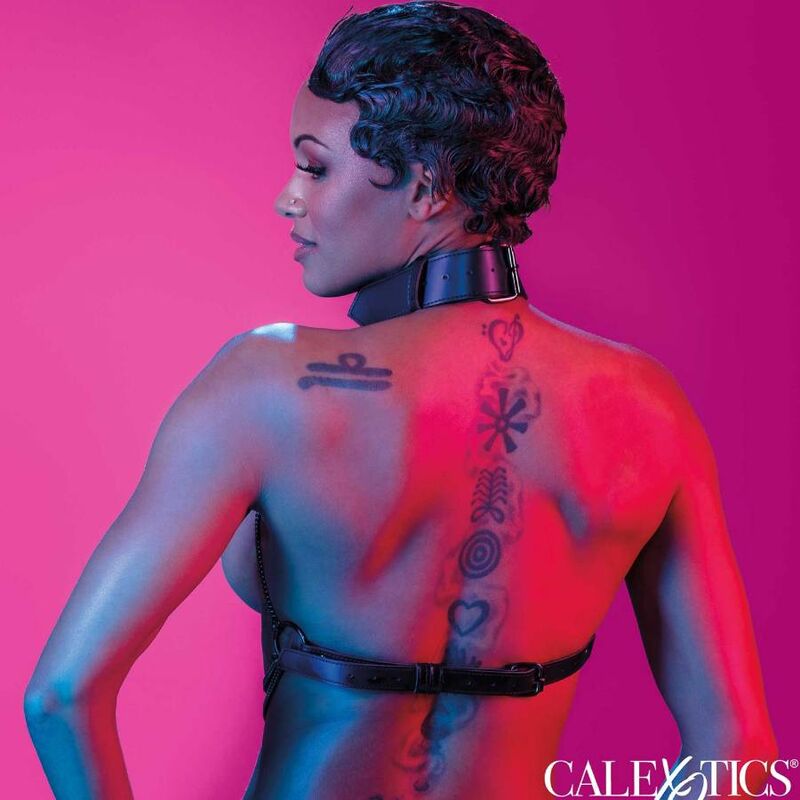 CALEXOTICS - EUPHORIA HARNAIS COLLIER MULTI CHAÎNES – Image 6