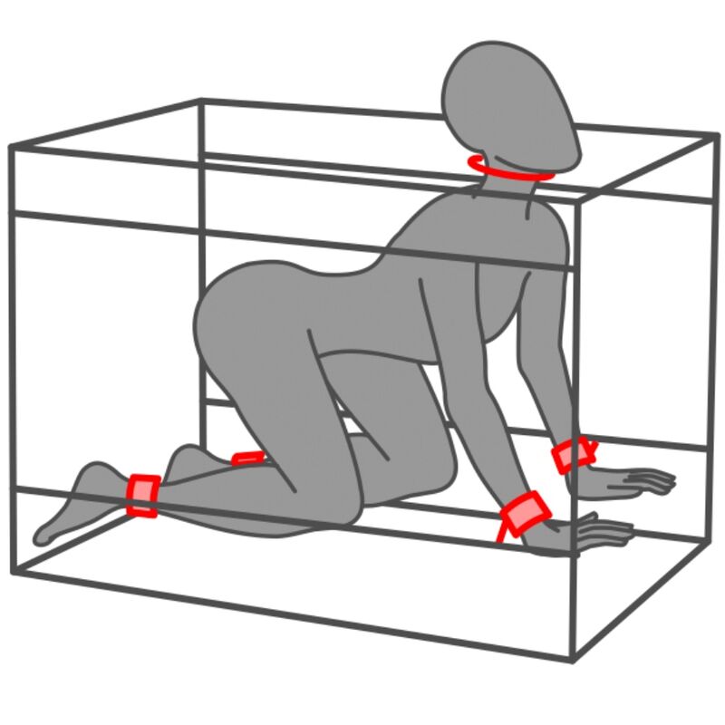 SECRET DOME - KINK CLUB LA NICHE CABINE NOIR ET ROUGE – Image 12