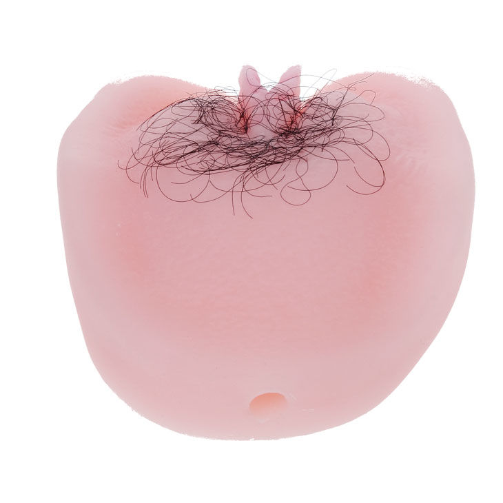 BAILE - CHATTE VIBRATON ANTHEA MAGIC FLESH – Image 7