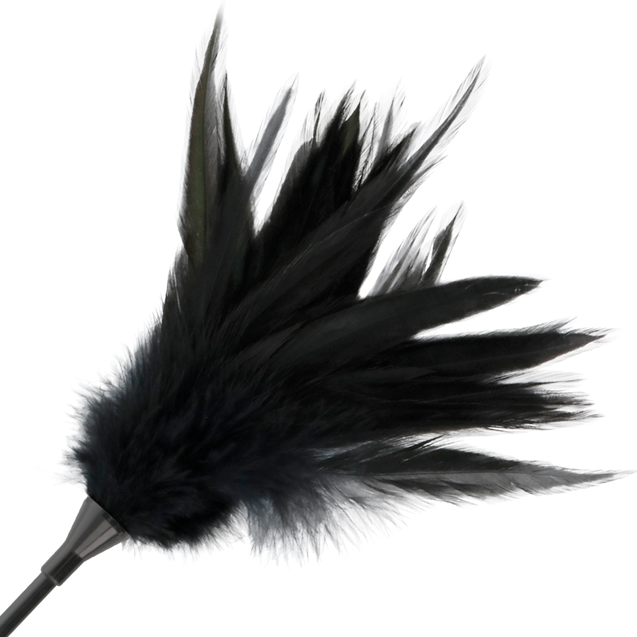 DARKNESS - FOUET À PLUMES NOIRES – Image 3